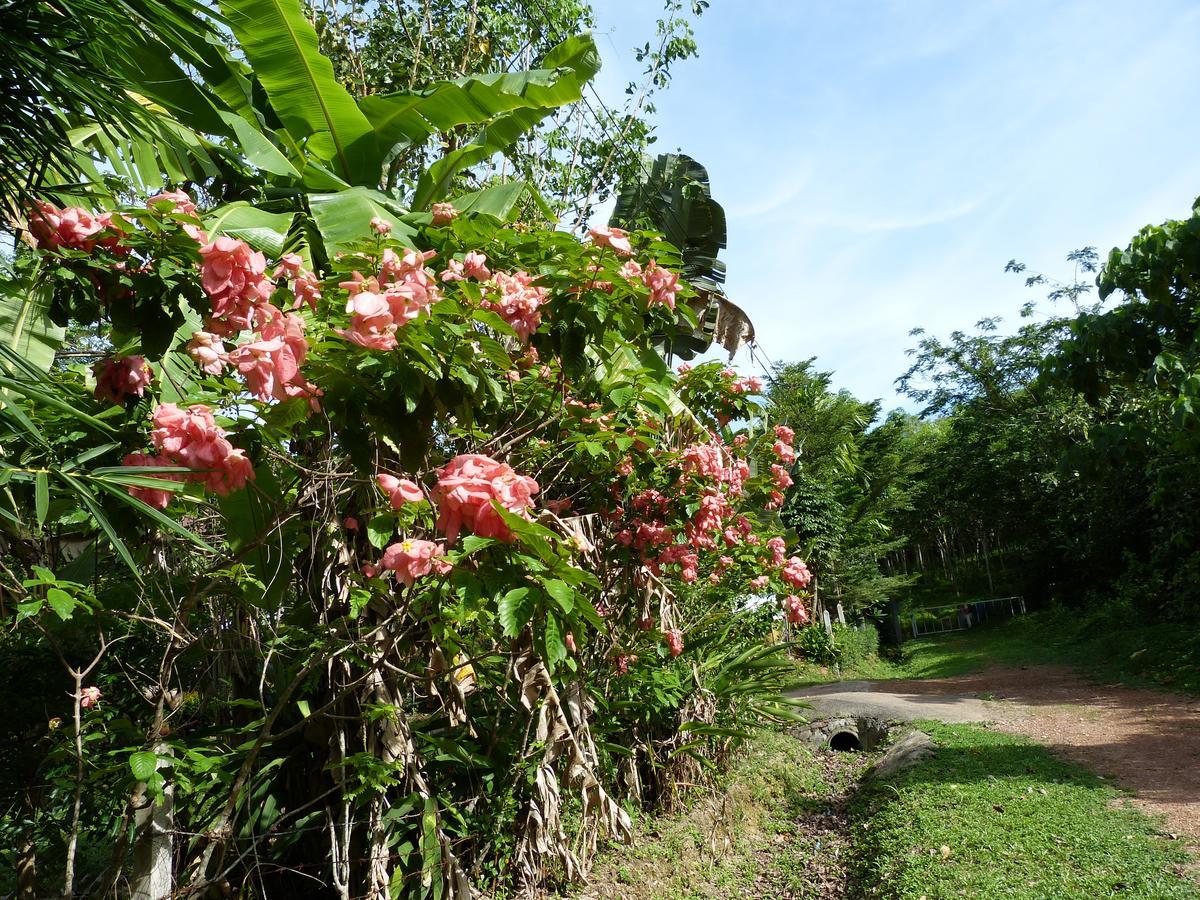 Seagull Villa เกาะลันตา ภายนอก รูปภาพ